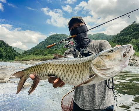 好想釣魚|台灣釣魚10大地點推薦！來這裡「夜釣小管」還能現釣現煮 